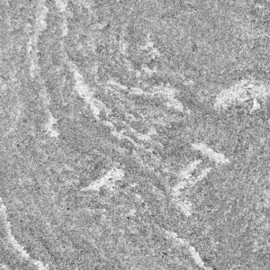 Porcea Gris 18 in x 36 in
