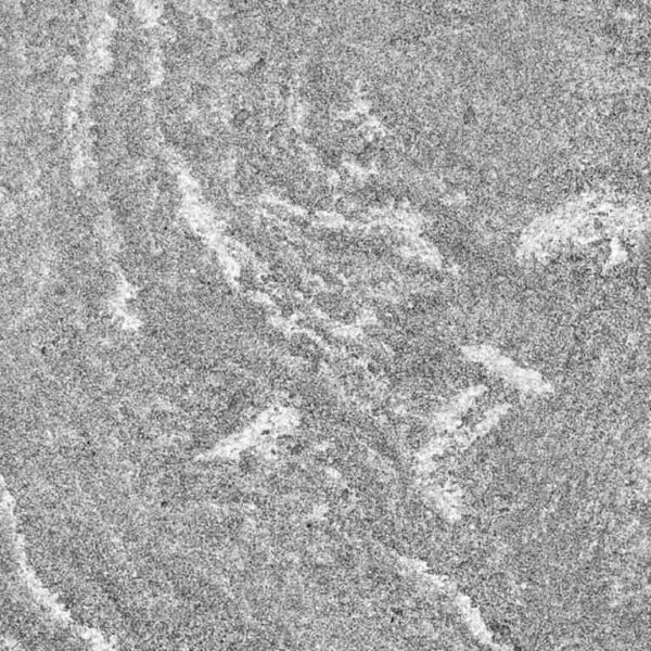 Porcea Gris 18 in x 36 in - Image 1