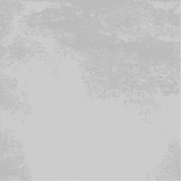 Porcea-Indus-768x768 Porcea Indus 24 in x 36 in - Image 1