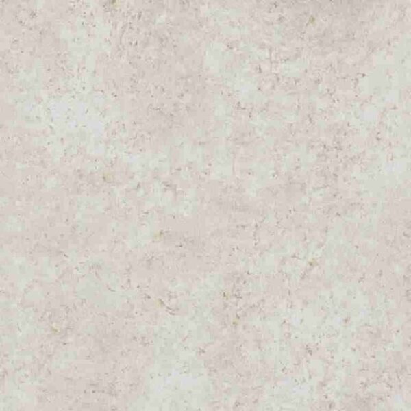 Porcea Seashell 24 in x 24 in - Image 1