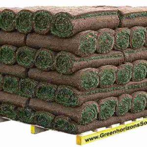 SOD - Premium Bluegrass