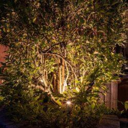 BOLD Fang 60mm (2 3/8-Inch) Recessed Light Accessory – Black Polycarbonate for Soft Surface Installation - Image 2