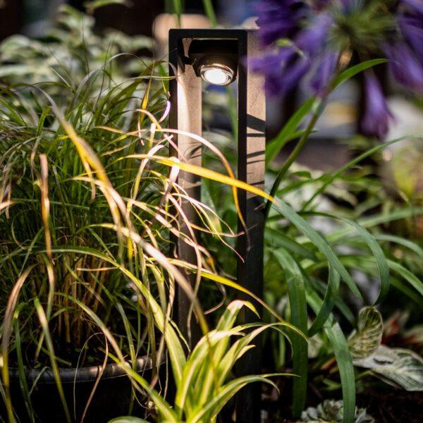 BOLD Dax High 19" Low Voltage LED Path Light – Black Anodized Aluminum with Adjustable Beam - Image 8