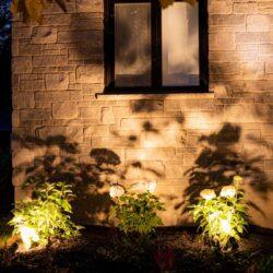 BOLD Reflector S for Strata S Spotlight – Black Polycarbonate for Glare Reduction - Image 2