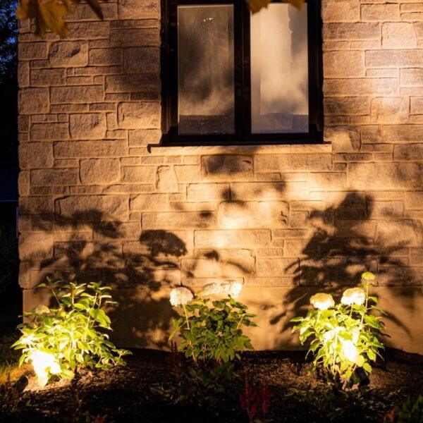 BOLD Reflector S for Strata S Spotlight – Black Polycarbonate for Glare Reduction - Image 2