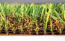 AGL Monte Carlo 60 Artificial Grass – 13 ft. Wide, Sold in 13 sq. ft. Increments - Image 3