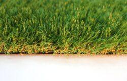 AGL Saratoga 40 Artificial Grass – 13 ft. Wide, Sold in 13 sq. ft. Increments - Image 2