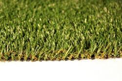 AGL Kent Fringe Grass – 13 ft. Wide, Sold in 13 sq. ft. Increments - Image 2